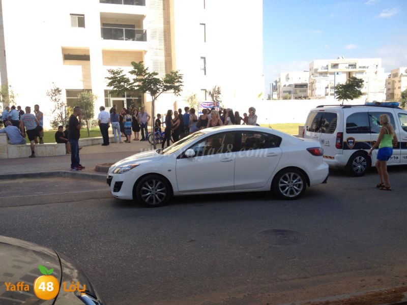 Kid 6 years kledl (1).JPG